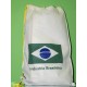 Fonda de praia con la bandera de Brasil